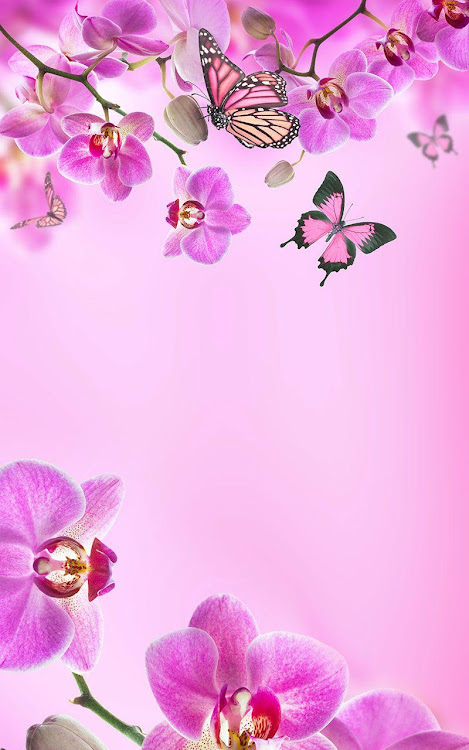Pink Flowers Live Wallpaper - 8.0 - (Android)