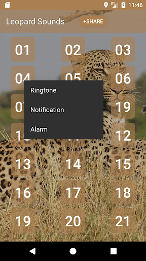Leopard Soundboard Screen 3