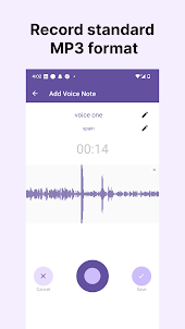 Voice Recorder & Voice Notes