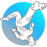 Cover Image of Tải xuống MARTIAL ARTS TRICKING Interact  APK