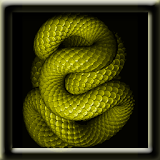 Animated Snake LWP icon