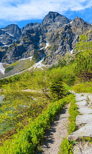 Mountain Live Wallpaper wallpapers  backgrounds