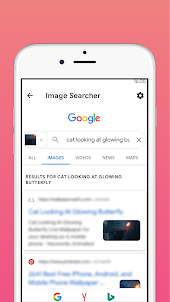 PicSearch: Fast Image Search