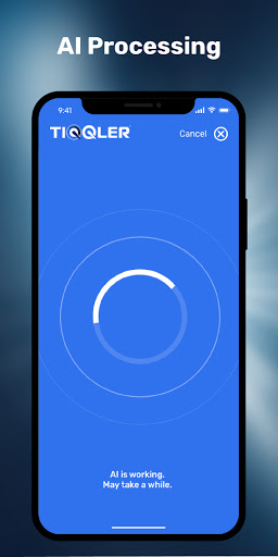 TIQQLER - Remove License Plate Screenshot 4 - AppWisp.com