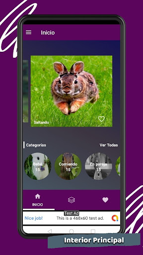 Imágenes de Conejos Screen 3