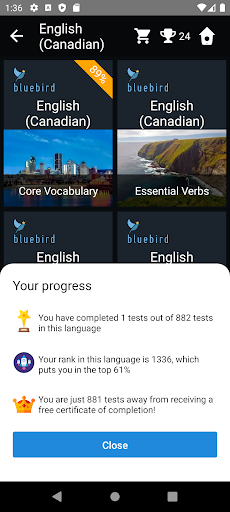Canadian English Tests Screen 3
