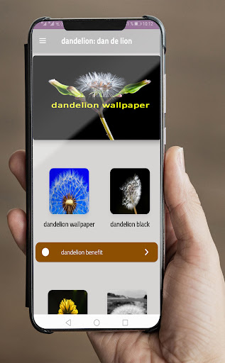 Android application wallpaper dandelion screenshort