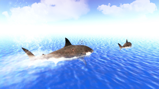 The Shark 5
