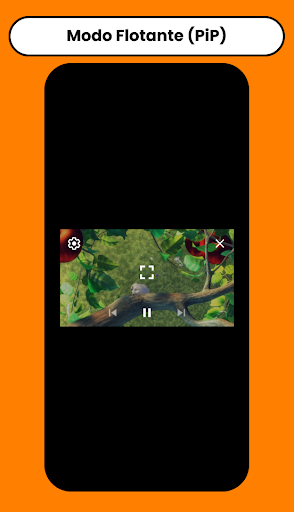 Inkaplay: Reproductor de Video Screen 2