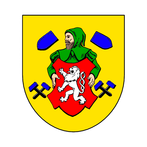 Vodňany logo