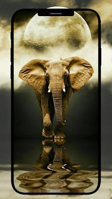 象の壁紙のおすすめ画像2