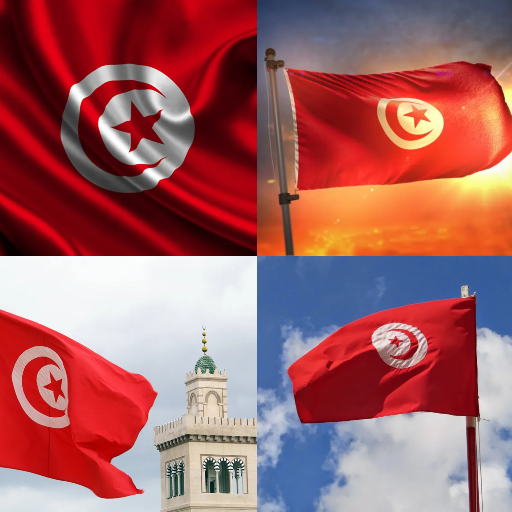 Tunisia Flag Wallpaper: Flags, Country HD Images