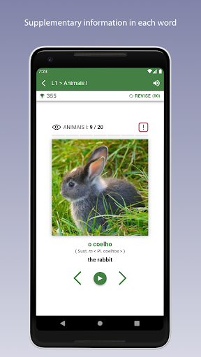 Learn Portuguese Vocabulary Screen 3