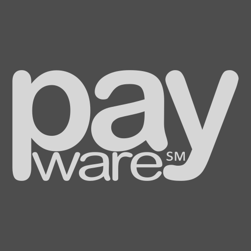 Payment Application Emulator logo