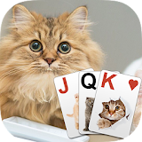 Solitaire Lovely Cats icon