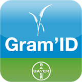 Gram'ID icon