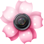 Cover Image of ดาวน์โหลด Lovely Sakura Picture Frames 3.6 APK