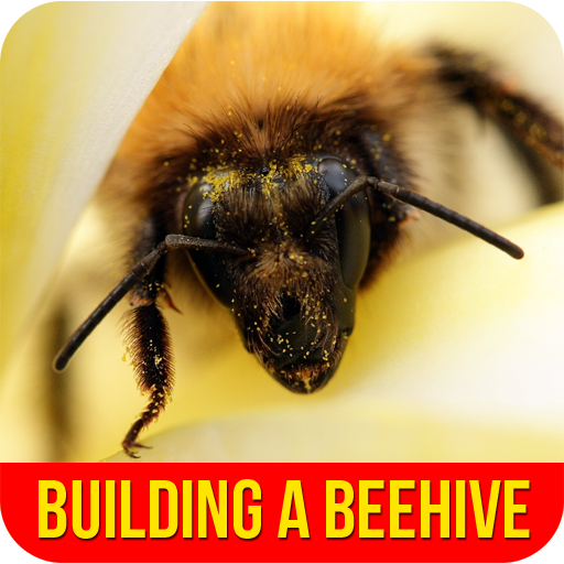 Building A Beehive 1.0 Icon