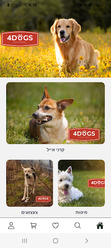 Android application 4Dogs Original screenshort