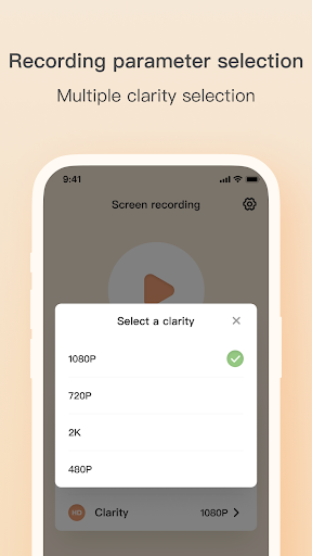 Record screen audio and video Screen 3