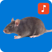 Mouse and Rat Sounds