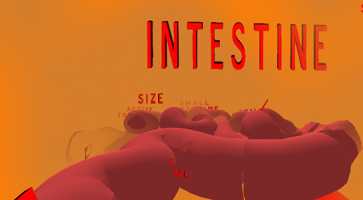 The Intestines VR Screen 2