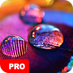 Cover Image of Tải xuống Macro Wallpapers PRO  APK