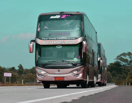 Bus Patas Wallpaper Screen 2
