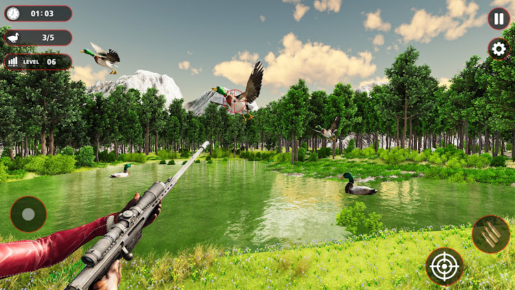 Birds Hunting Sniper Shooting - 1.0 - (Android)