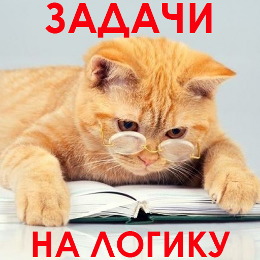 1000 и одна задача на логику. logo