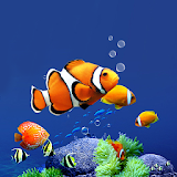 Aquarium Live Wallpaper HD icon