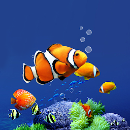 Icon image Aquarium Live Wallpaper HD