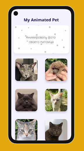 Android application My Animated Pet: talking cat screenshort