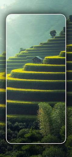 Screenshot of Cool Nature Wallpapers 4K | HD