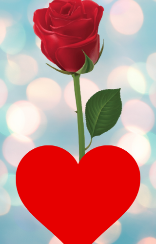 Download Red Rose Wallpaper Free for Android - Red Rose Wallpaper APK  Download 