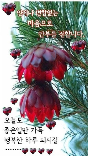 Android application 커뮤니케이션을 위한 인사말 카드 screenshort