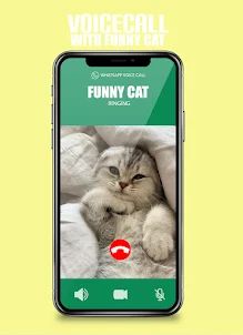 Cat Funny Call me surprised