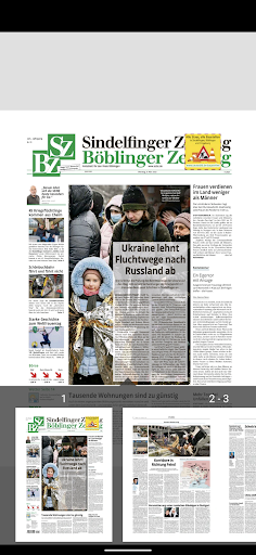 SZBZ Digital (E-Paper) Screen 3