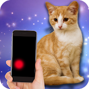 Moving laser pointer for cats (PRANK)