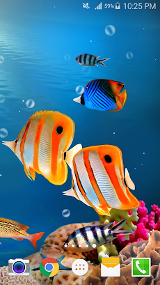 オーシャン魚ライブ壁紙無料 Androidアプリ Applion