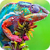 App Details Logo