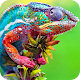 Chameleon Full HD Wallpaper Auf Windows herunterladen