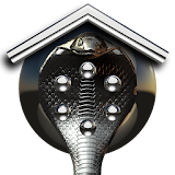 Smart Launcher theme Cobra icon