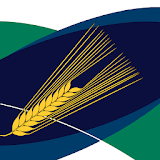 MyCrop Barley icon