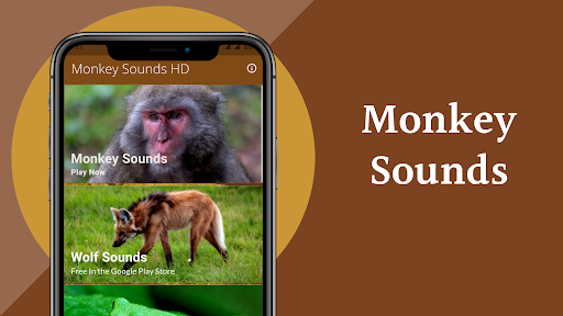 Monkey Sounds Screen 2