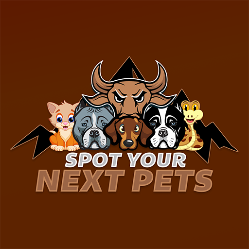 Spot your next pets