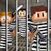 Most Wanted Jailbreak For PC