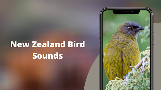 NewZealand Bird Sounds