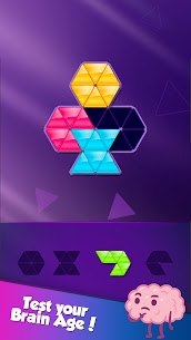 Block! Triangle Puzzle:Tangram 5