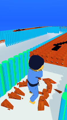 Kungfu Bricks - Screenshot 1